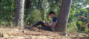 Writing near a tree