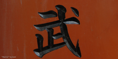Japanese Character for Warrior
