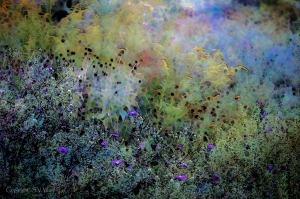 Digital Watercolor Field of Wildflowers by Steven V. Ward