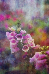 Pink flowers on impressionist background