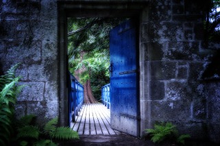 Door opening onto a colorful scene