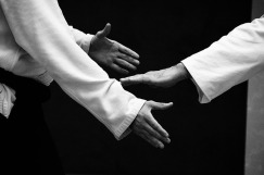 hands of Aikido martial artist