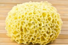 Yellow natural sponge