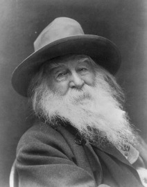 Photograph of Walt Whitman with a long white beard