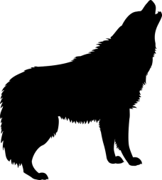 Silhouette of a howling wolf