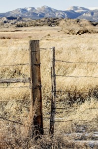 Fence post in front of a field with mountains in the background