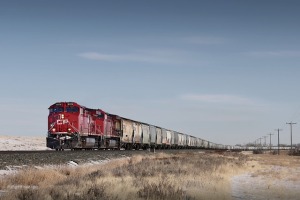 Freight train moving along tracks with shrubs in the foreground and pale blue sky in the background