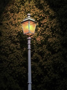 A lighted lantern in front of a tree at night